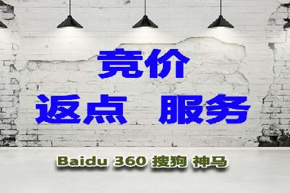 揭秘SEM推广代运营公司的成功之路